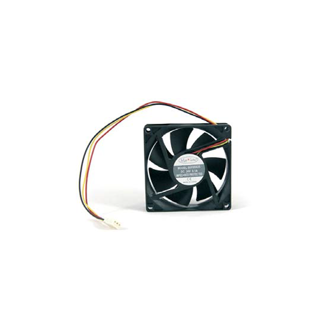 Fanlar